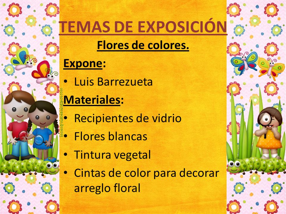 TEMAS DE EXPOSICIÓN Flores de colores. Expone: Luis Barrezueta