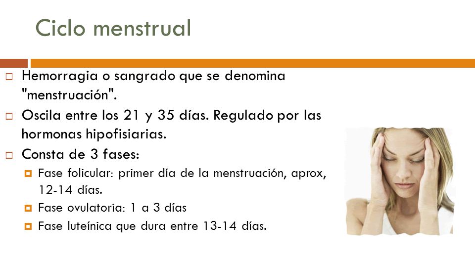 Ciclo menstrual Hemorragia o sangrado que se denomina menstruación .