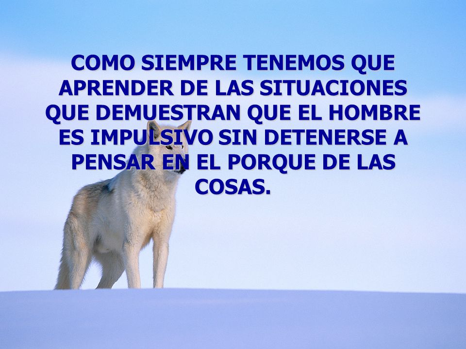 COMO SIEMPRE TENEMOS QUE APRENDER DE LAS SITUACIONES QUE DEMUESTRAN QUE EL HOMBRE ES IMPULSIVO SIN DETENERSE A PENSAR EN EL PORQUE DE LAS COSAS.