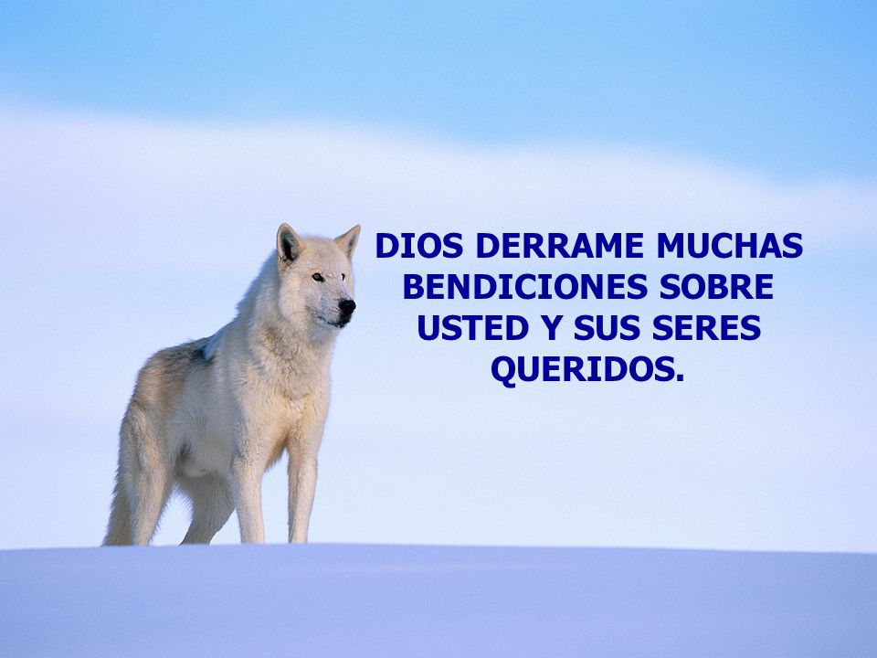DIOS DERRAME MUCHAS BENDICIONES SOBRE USTED Y SUS SERES QUERIDOS.