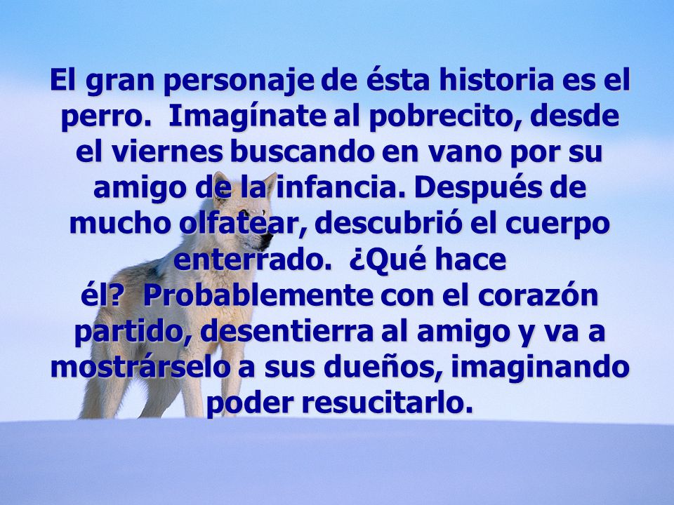 El gran personaje de ésta historia es el perro