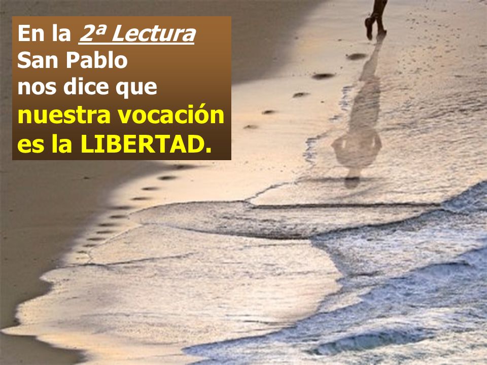 En la 2ª Lectura San Pablo nos dice que nuestra vocación es la LIBERTAD.