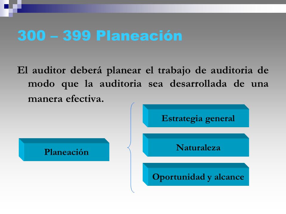 300 – 399 Planeación El auditor deberá planear el trabajo de auditoria de modo que la auditoria sea desarrollada de una manera efectiva.