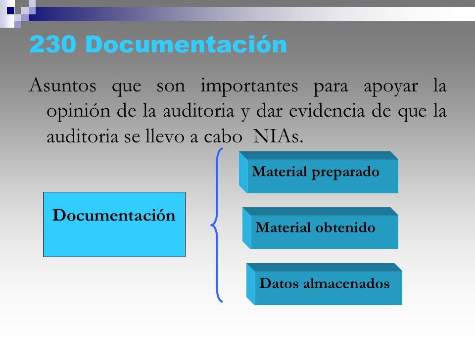 230 Documentación Asuntos que son importantes para apoyar la opinión de la auditoria y dar evidencia de que la auditoria se llevo a cabo NIAs.