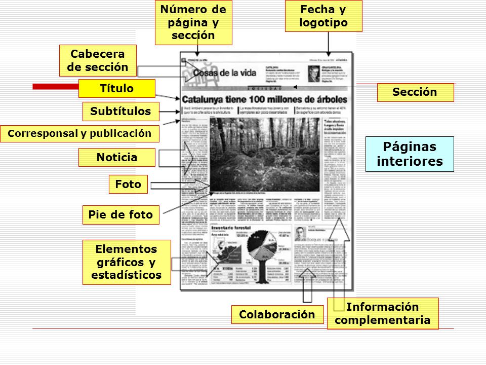 Páginas interiores Número de página y sección Fecha y logotipo