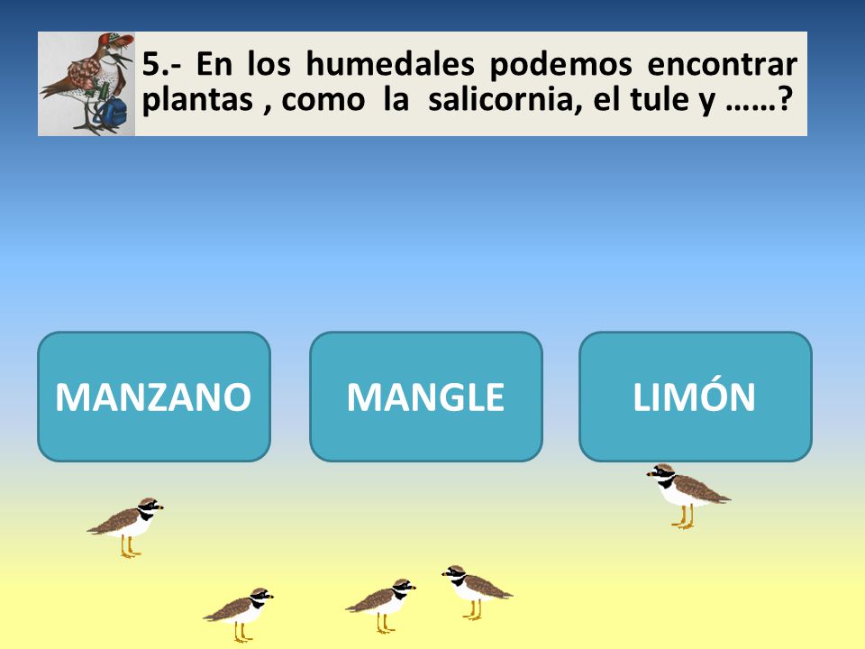 5.- En los humedales podemos encontrar plantas , como la salicornia, el tule y ……