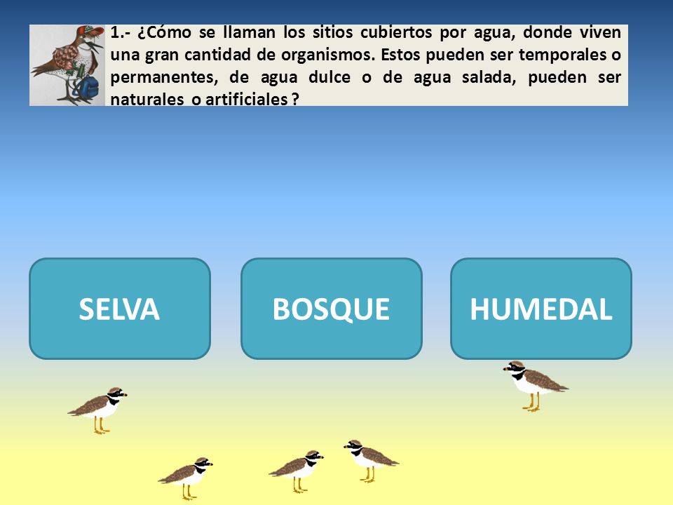 1.- ¿Cómo se llaman los sitios cubiertos por agua, donde viven una gran cantidad de organismos. Estos pueden ser temporales o permanentes, de agua dulce o de agua salada, pueden ser naturales o artificiales