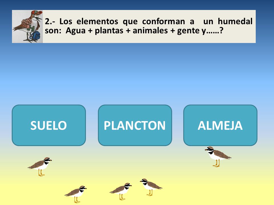 2.- Los elementos que conforman a un humedal son: Agua + plantas + animales + gente y……
