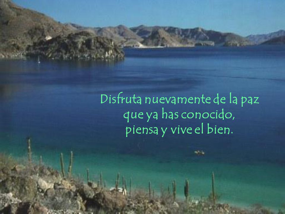 Disfruta nuevamente de la paz que ya has conocido, piensa y vive el bien.