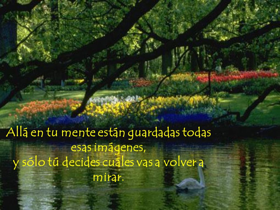 Allá en tu mente están guardadas todas esas imágenes, y sólo tú decides cuáles vas a volver a mirar.