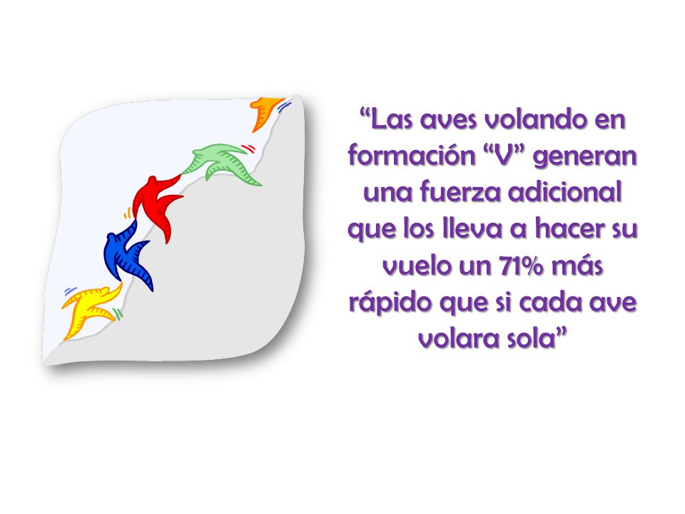 Las aves volando en formación V generan una fuerza adicional que los lleva a hacer su vuelo un 71% más rápido que si cada ave volara sola