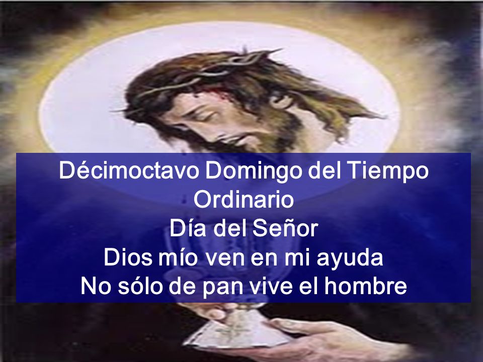 Décimoctavo Domingo del Tiempo Ordinario No sólo de pan vive el hombre