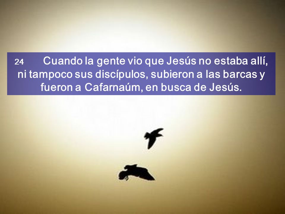 24 Cuando la gente vio que Jesús no estaba allí, ni tampoco sus discípulos, subieron a las barcas y fueron a Cafarnaúm, en busca de Jesús.
