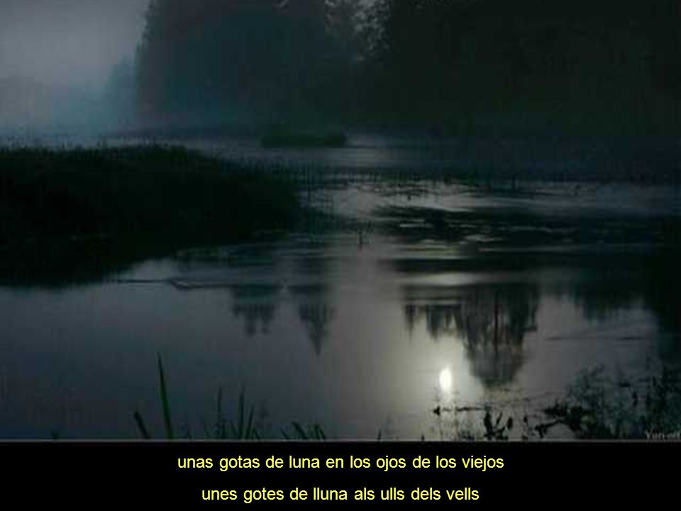unas gotas de luna en los ojos de los viejos