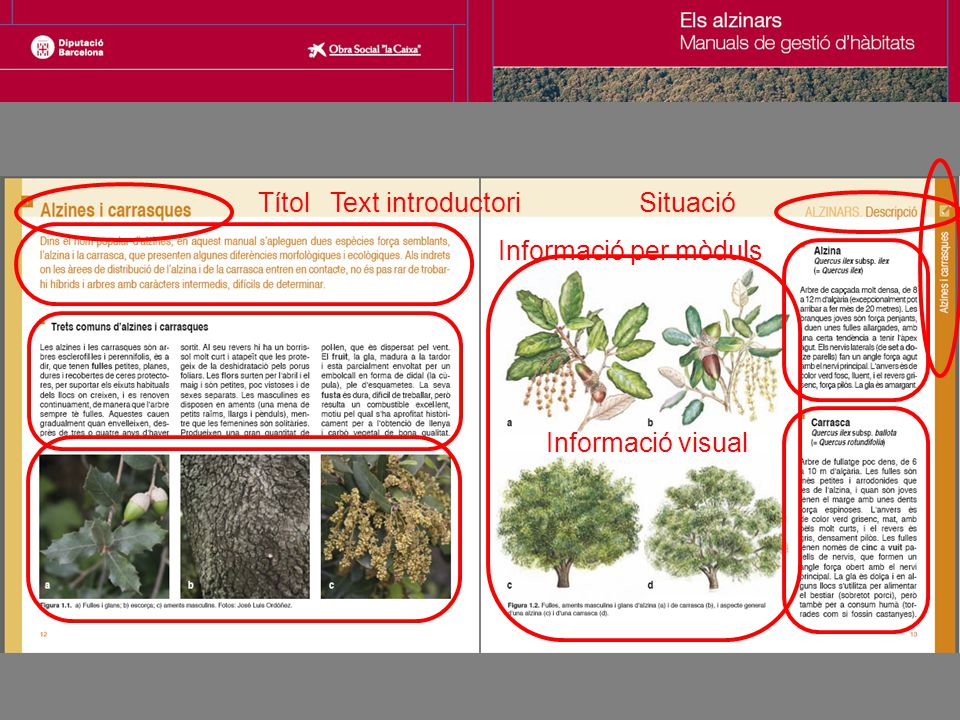 Títol Text introductori Situació Informació per mòduls Informació visual