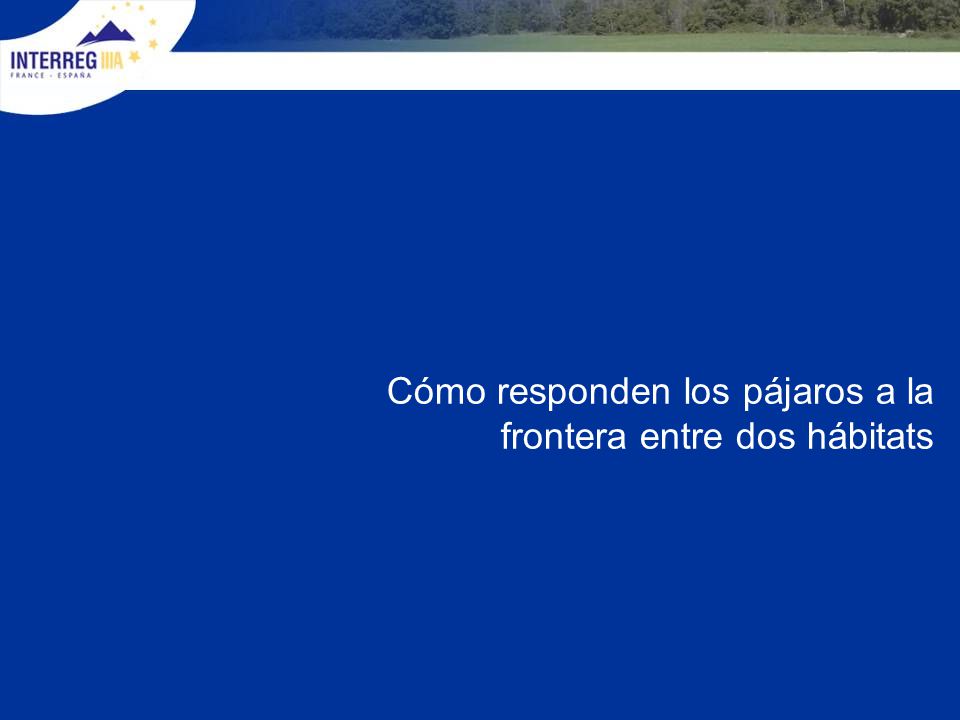 Cómo responden los pájaros a la frontera entre dos hábitats