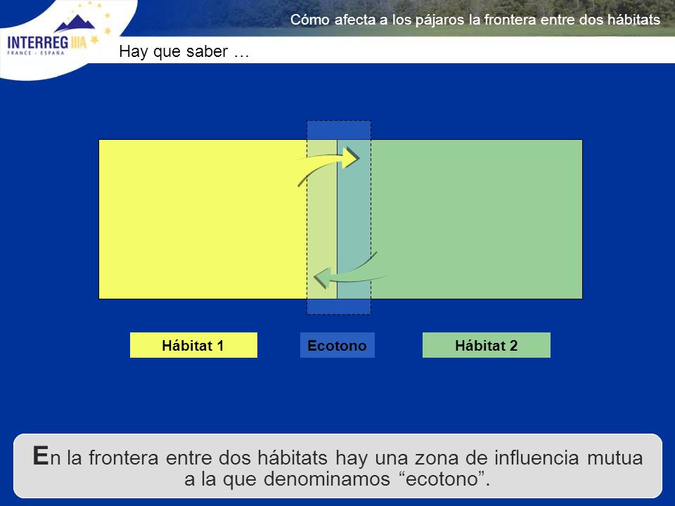 Cómo afecta a los pájaros la frontera entre dos hábitats