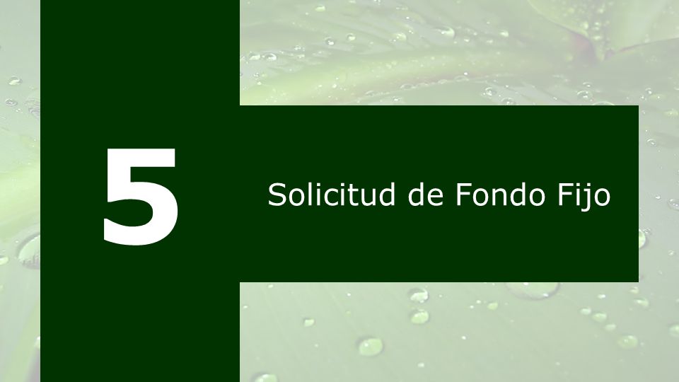 Solicitud de Fondo Fijo