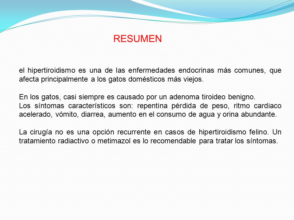 RESUMEN el hipertiroidismo es una de las enfermedades endocrinas más comunes, que afecta principalmente a los gatos domésticos más viejos.