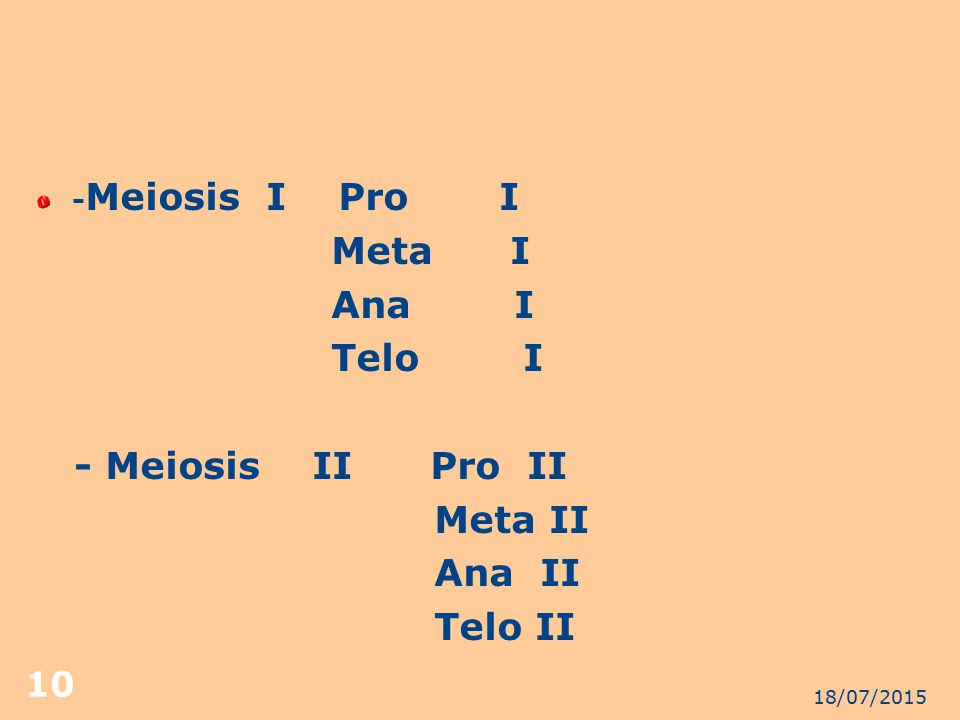 Meta I Ana I Telo I - Meiosis II Pro II Meta II Ana II Telo II