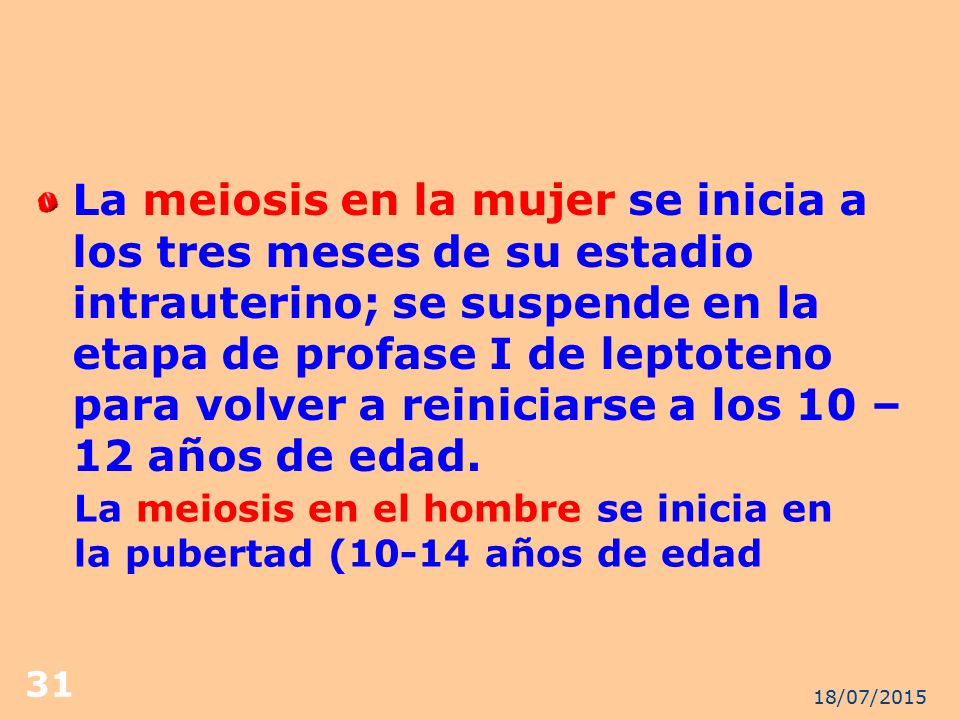 La meiosis en la mujer se inicia a los tres meses de su estadio intrauterino; se suspende en la etapa de profase I de leptoteno para volver a reiniciarse a los 10 –12 años de edad.