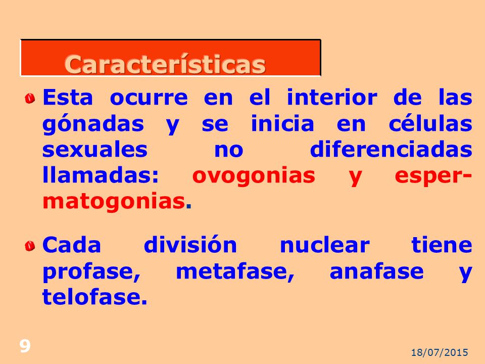 Características Esta ocurre en el interior de las gónadas y se inicia en células sexuales no diferenciadas llamadas: ovogonias y esper-matogonias.