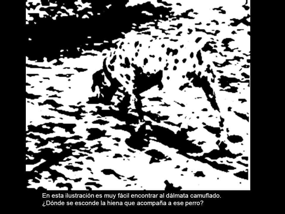 En esta ilustración es muy fácil encontrar al dálmata camuflado.