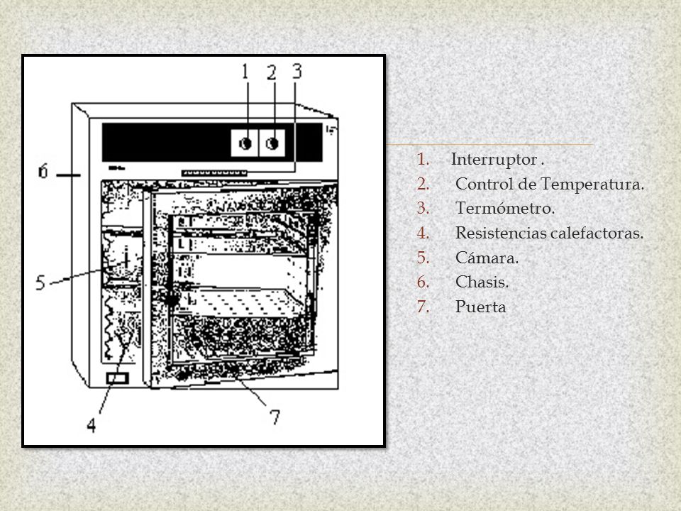 Interruptor . Control de Temperatura. Termómetro. Resistencias calefactoras. Cámara. Chasis.