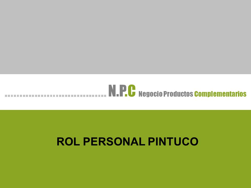N.P Negocio Productos .C Complementarios ROL PERSONAL PINTUCO