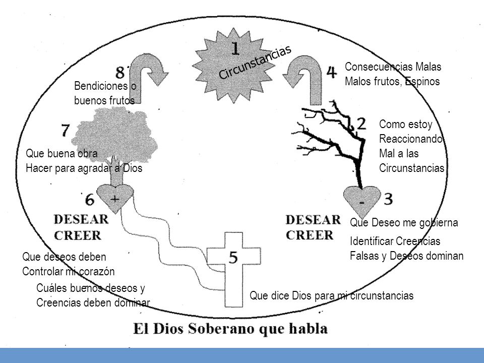 Circunstancias Consecuencias Malas. Malos frutos, Espinos. Bendiciones o. buenos frutos. Como estoy.