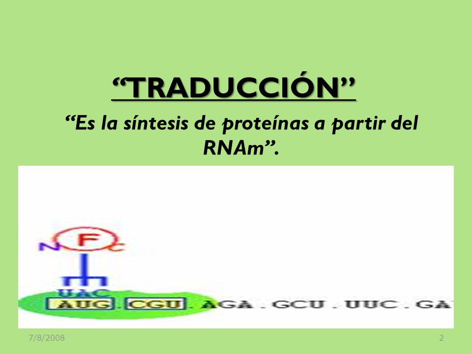 Es la síntesis de proteínas a partir del RNAm .