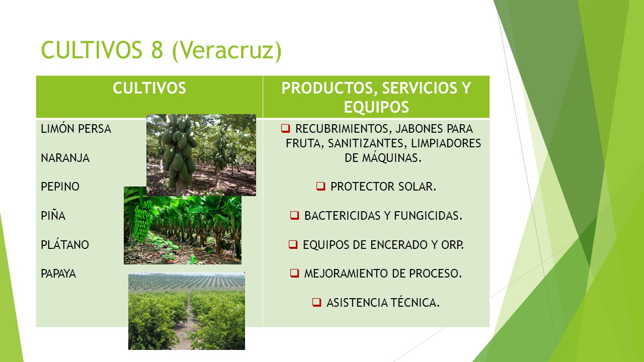 PRODUCTOS, SERVICIOS Y EQUIPOS