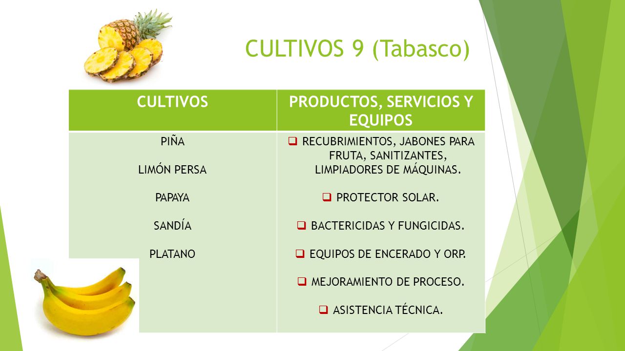 PRODUCTOS, SERVICIOS Y EQUIPOS