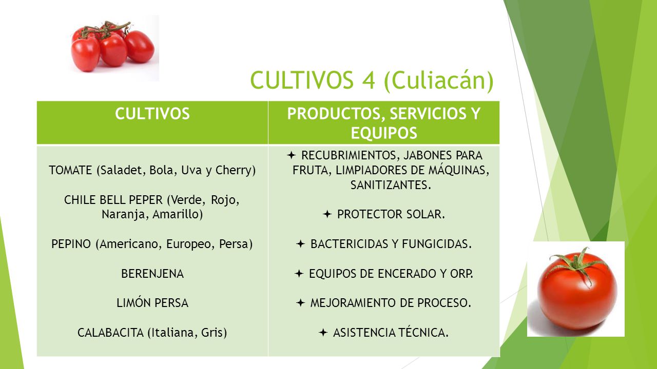 PRODUCTOS, SERVICIOS Y EQUIPOS