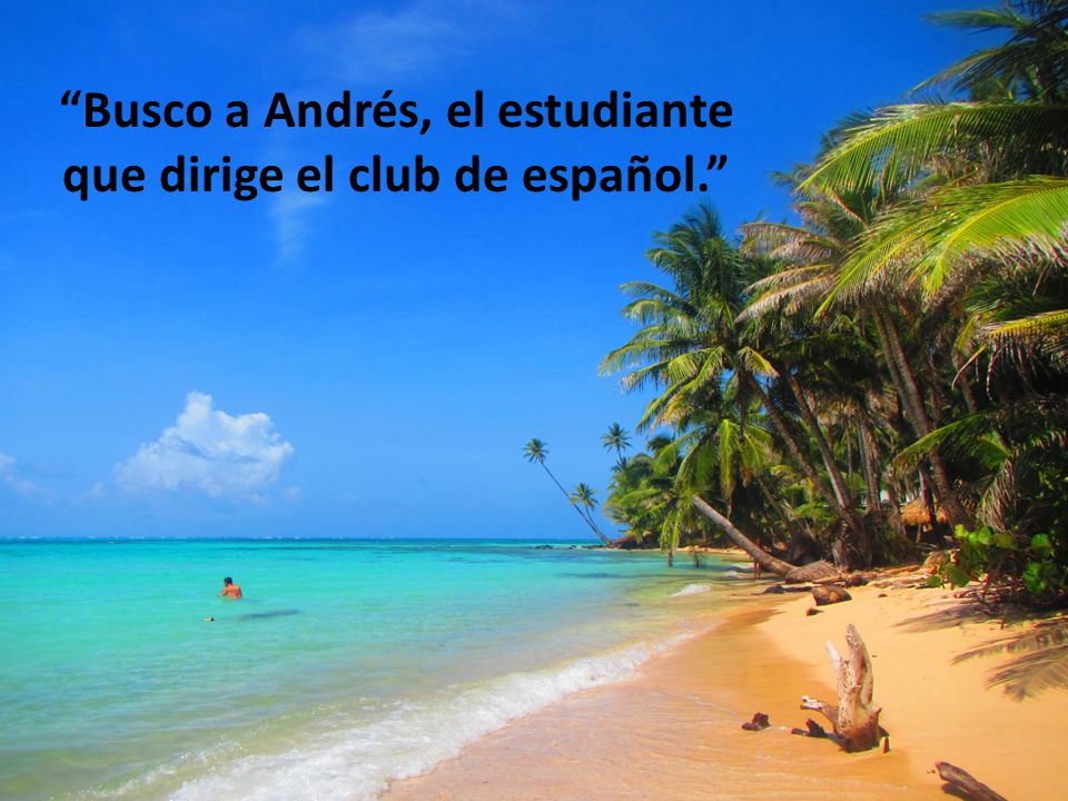 Busco a Andrés, el estudiante que dirige el club de español.