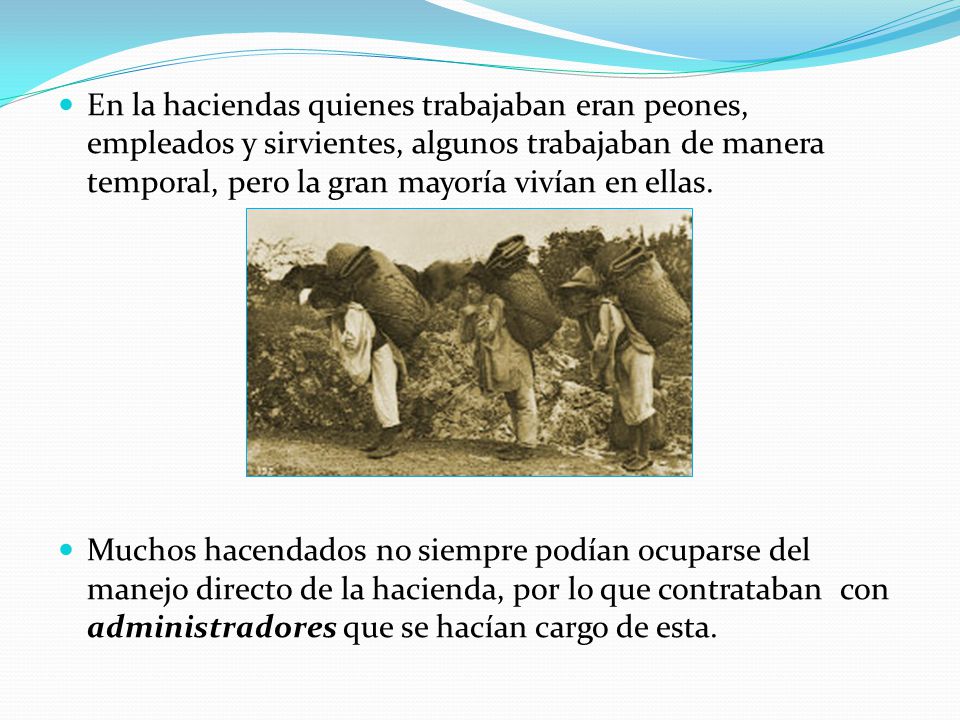 En la haciendas quienes trabajaban eran peones, empleados y sirvientes, algunos trabajaban de manera temporal, pero la gran mayoría vivían en ellas.