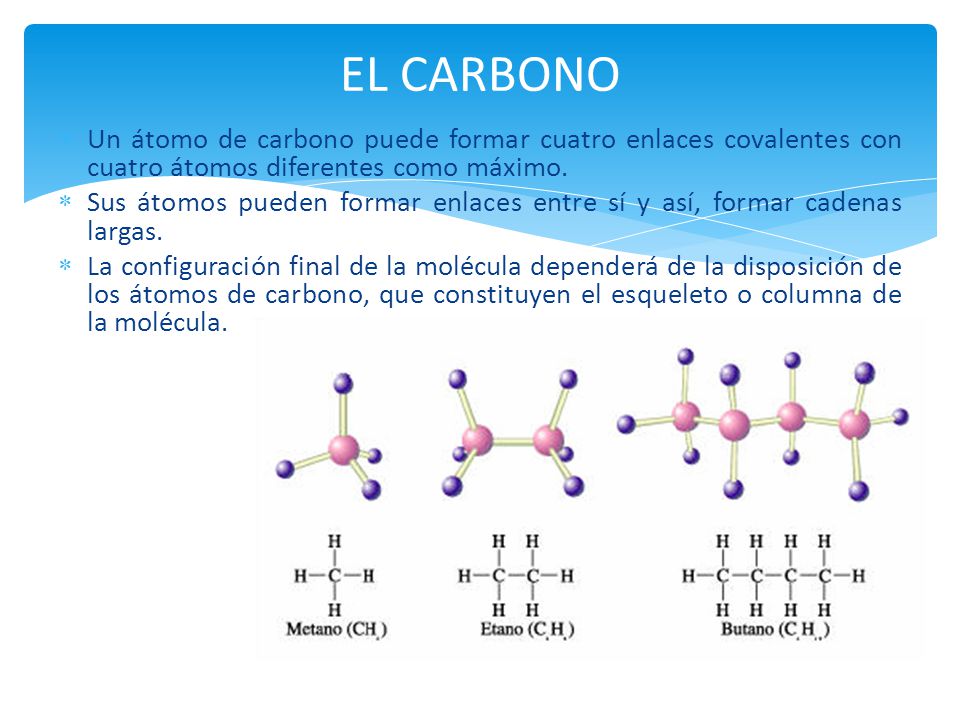 EL CARBONO Un átomo de carbono puede formar cuatro enlaces covalentes con cuatro átomos diferentes como máximo.
