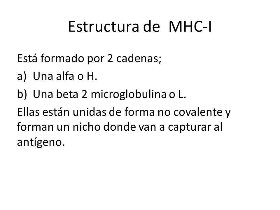 Estructura de MHC-I Está formado por 2 cadenas; Una alfa o H.