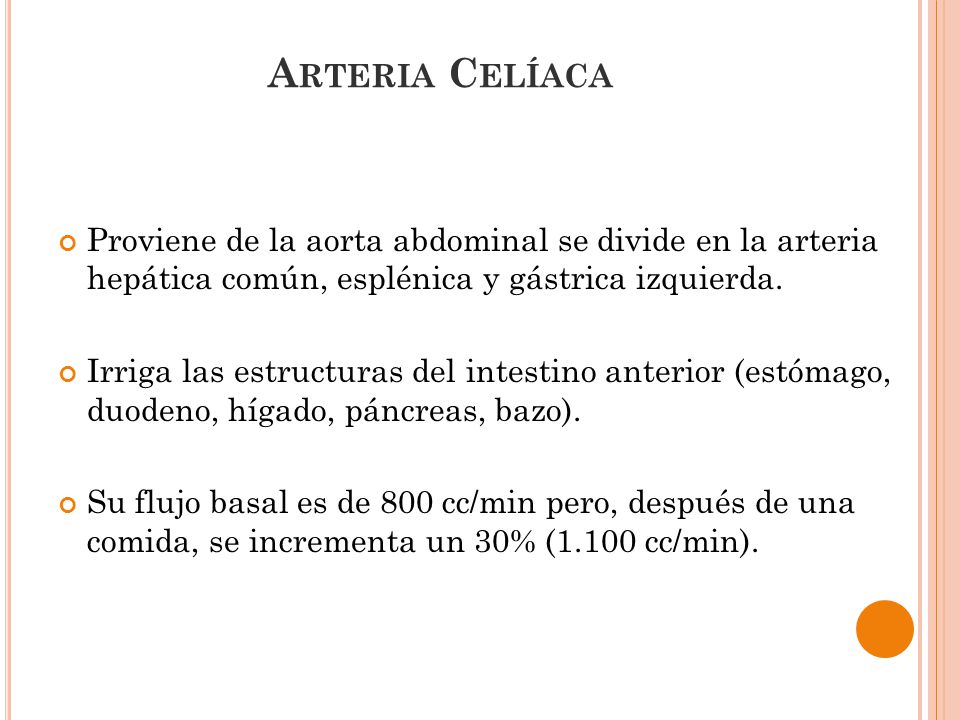 Arteria Celíaca Proviene de la aorta abdominal se divide en la arteria hepática común, esplénica y gástrica izquierda.