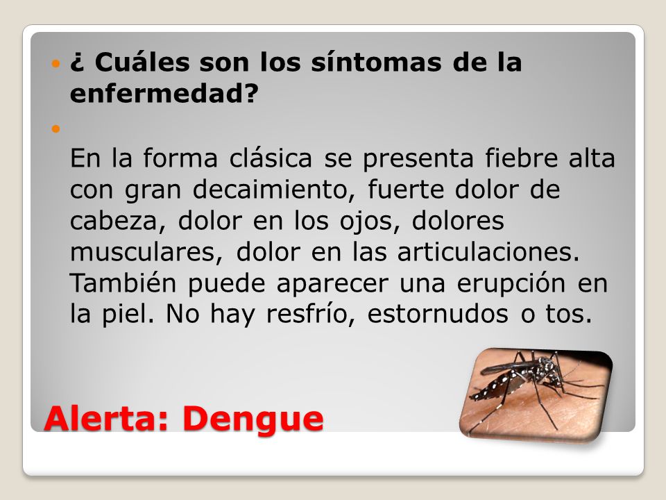Alerta: Dengue ¿ Cuáles son los síntomas de la enfermedad