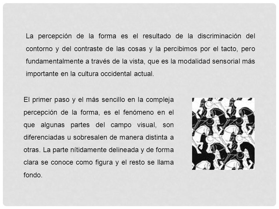 La percepción de la forma es el resultado de la discriminación del contorno y del contraste de las cosas y la percibimos por el tacto, pero fundamentalmente a través de la vista, que es la modalidad sensorial más importante en la cultura occidental actual.