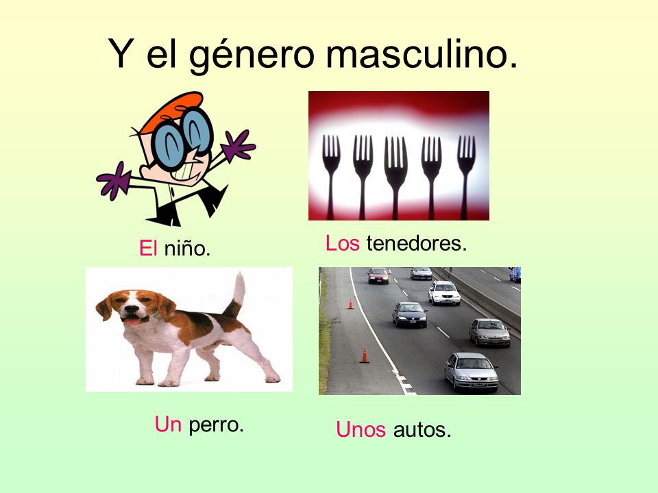 Y el género masculino. Los tenedores. El niño. Un perro. Unos autos.