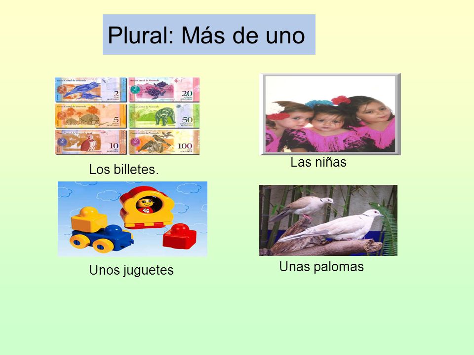 Plural: Más de uno Las niñas Los billetes. Unas palomas Unos juguetes
