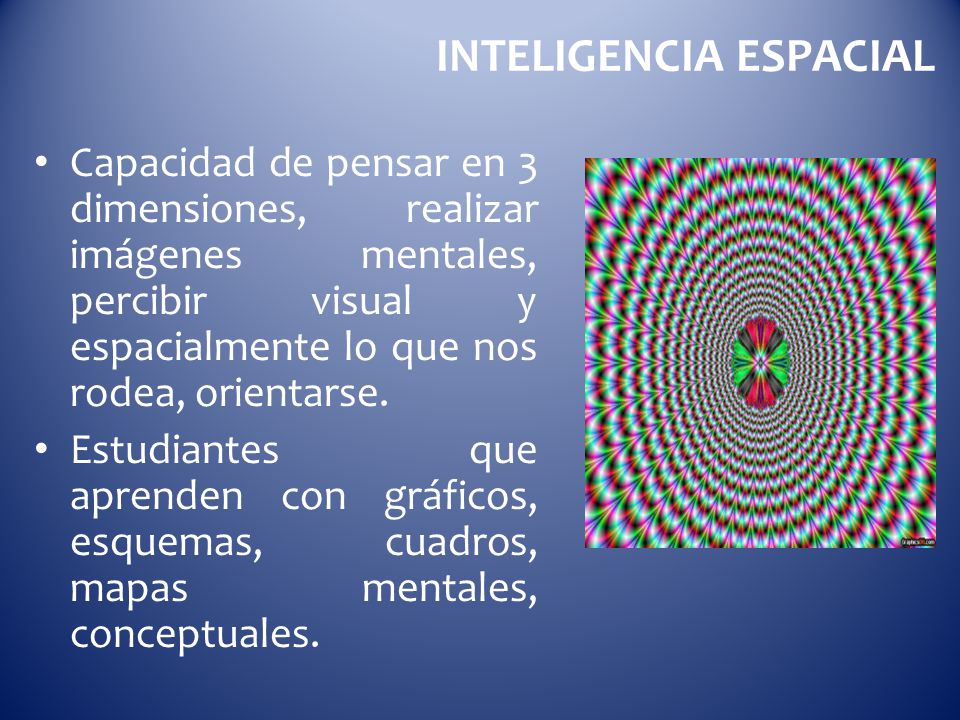 INTELIGENCIA ESPACIAL