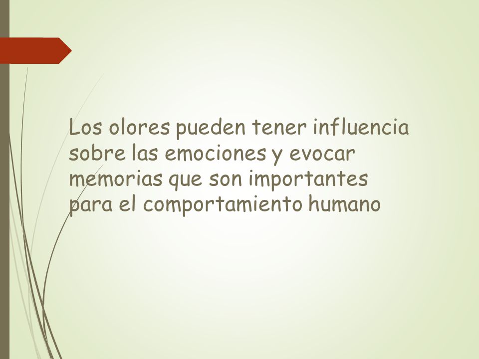 Los olores pueden tener influencia sobre las emociones y evocar memorias que son importantes para el comportamiento humano
