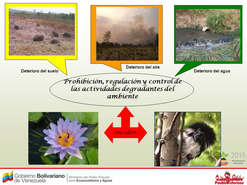 Deterioro del aire Deterioro del suelo. Deterioro del agua. Prohibición, regulación y control de las actividades degradantes del ambiente.