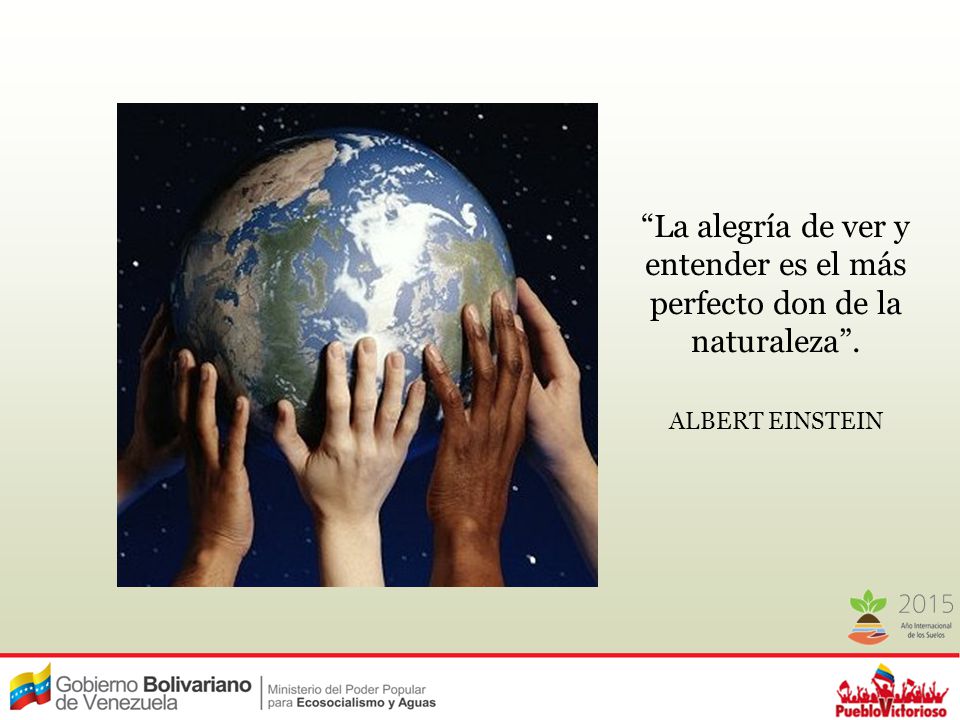 La alegría de ver y entender es el más perfecto don de la naturaleza .