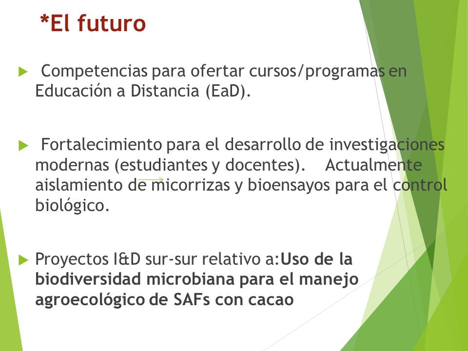 *El futuro Competencias para ofertar cursos/programas en Educación a Distancia (EaD).
