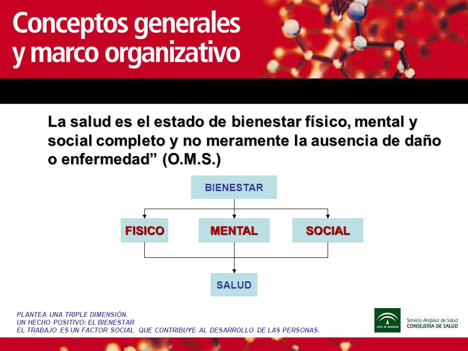 La salud es el estado de bienestar físico, mental y social completo y no meramente la ausencia de daño o enfermedad (O.M.S.)