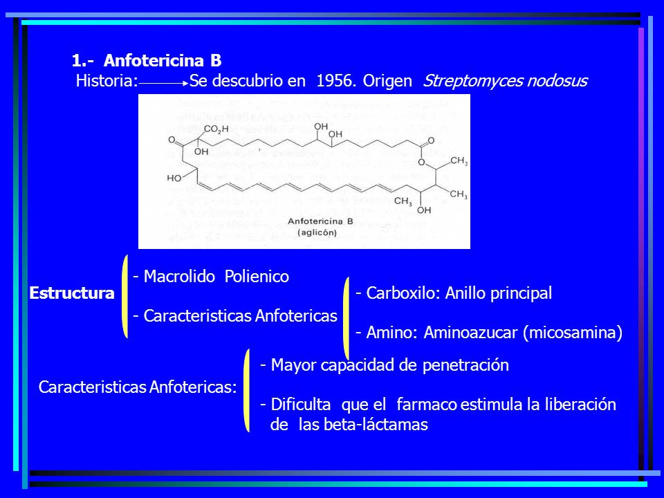 1.- Anfotericina B Historia: Se descubrio en Origen Streptomyces nodosus. Macrolido Polienico.